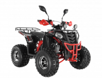 ���������� Wels ATV THUNDER EVO 125 � s-dostavka ������ - ����������-�-�������������.��