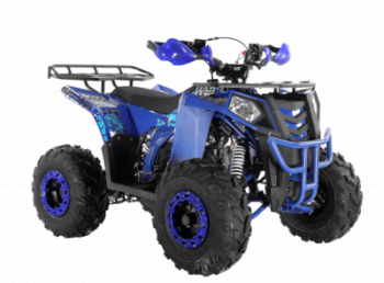 ���������� Wels ATV THUNDER EVO 125 s-dostavka ����� - ����������-�-�������������.��