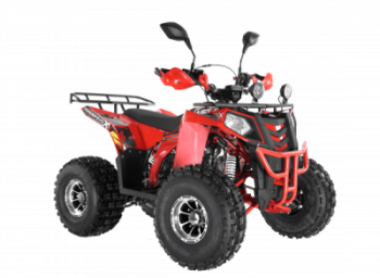 ���������� Wels ATV THUNDER EVO 125 � s-dostavka ������� - ����������-�-�������������.��