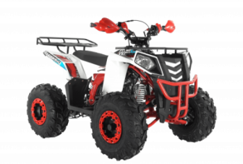 ���������� Wels ATV THUNDER EVO 125 s-dostavka ����� - ����������-�-�������������.��